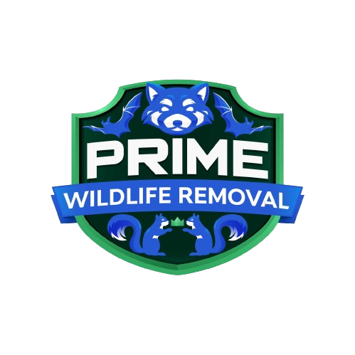 Wildlife Removal Vevay